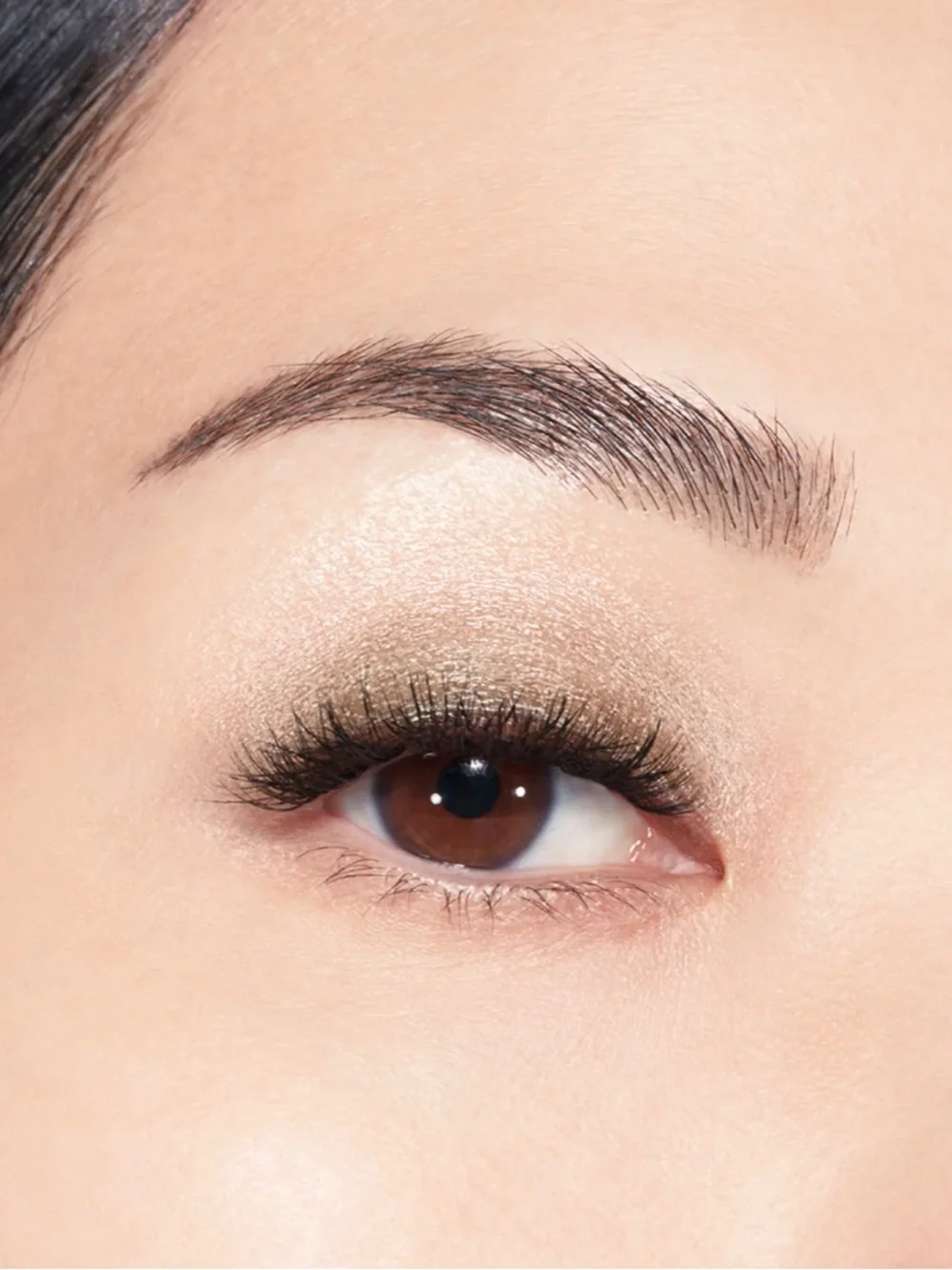 CHANEL ombré essentielle